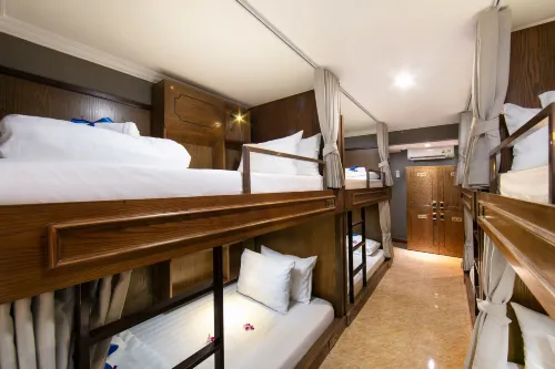 Little Charm Hanoi Hostel Photos