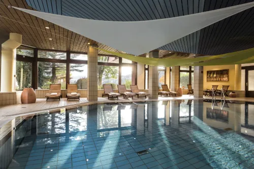 Maritim TitiseeHotel Titisee-Neustadt Loisirs et amusements Photos