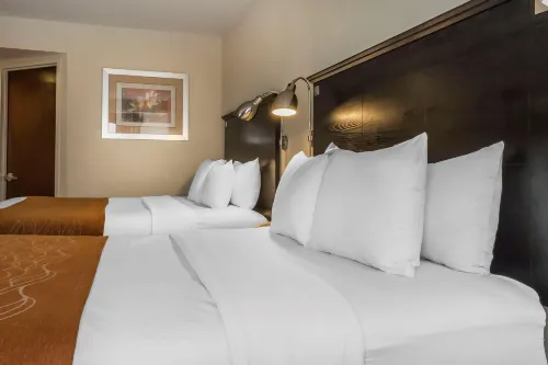 Comfort Inn & Suites LaGuardia Airport Photos