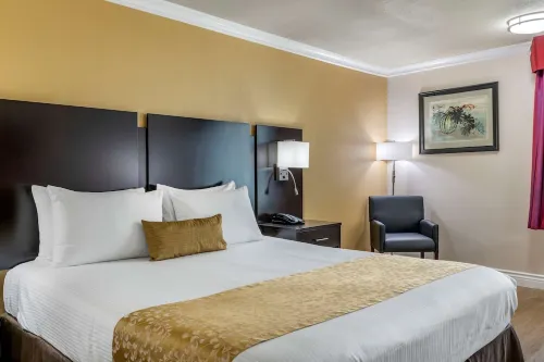 Best Western Plus South Bay Hotel Rooms Photos