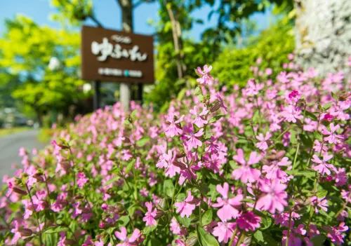Pension Yufuin À proximité de l'hôtel Photos