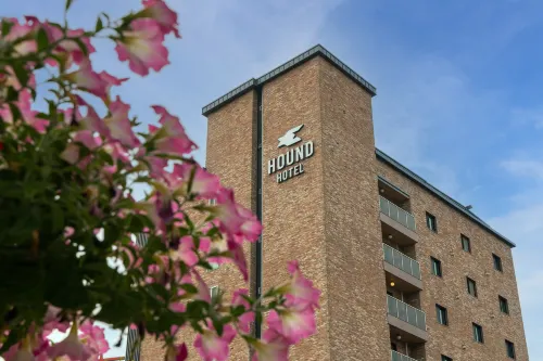 Jecheon Hound Hotel Esterni Photos