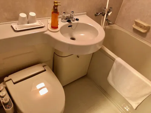 Business Hotel Cosmo Inn Camere Photos