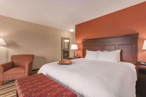 Hampton Inn Detroit/Southgate Phòng Photos