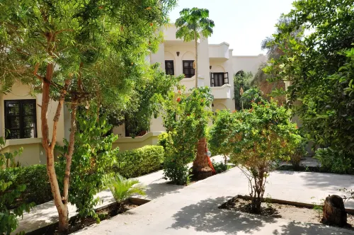 El Nakhil Hotel Extérieur Photos