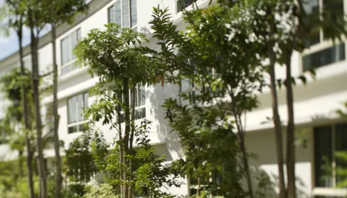 Amara Sanctuary Resort Sentosa Photos