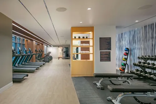 The Royal Sonesta Washington DC Capitol Hill Leisure & Recreation Photos
