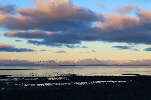 Ramada by Wyndham Campbell River Near Hotel Photos