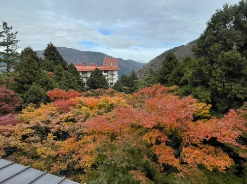 Mizunoto Near Hotel Photos