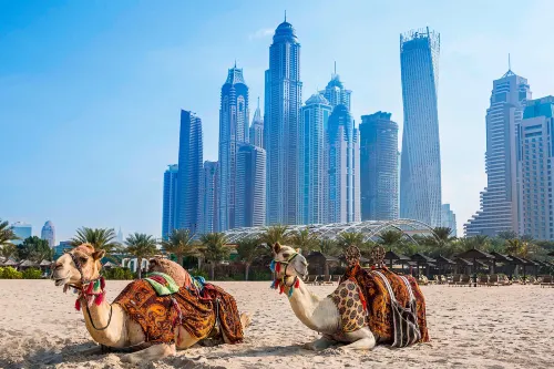 Al Habtoor Grand Resort, Autograph Collection By Marriott Near Hotel Photos