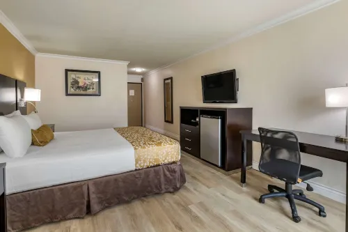 Best Western Plus South Bay Hotel Rooms Photos