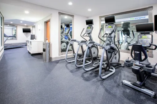 Holiday Inn Express & Suites Auburn Hills Leisure & Recreation Photos