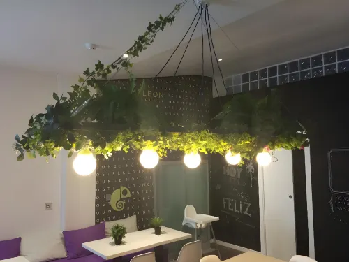 Chameleon Youth Hostel Alicante Espaces publics Photos