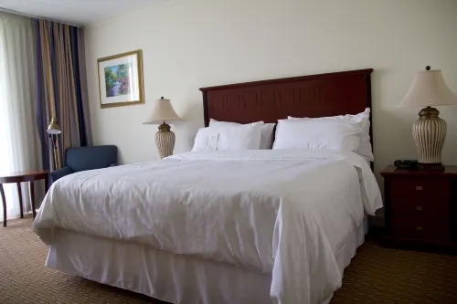 Sheraton Presidente San Salvador Hotel Chambres Photos