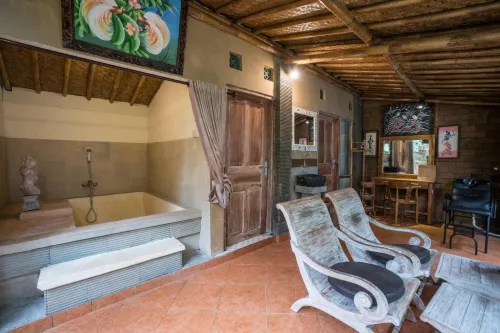 Villa JJ and Spa Ubud الترفيه والتسلية Photos