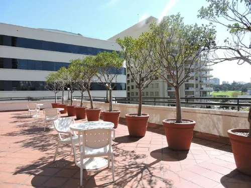 The Sydney Boulevard Hotel Area Publik Photos