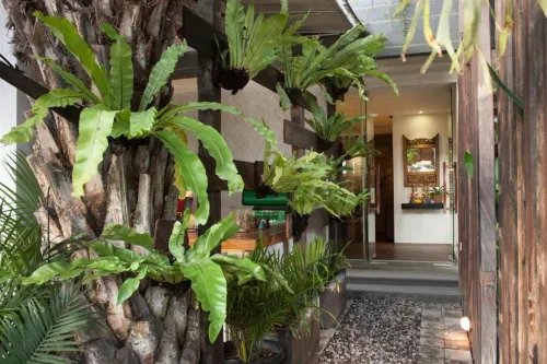 Grandmas Plus Hotel Legian Area Publik Photos