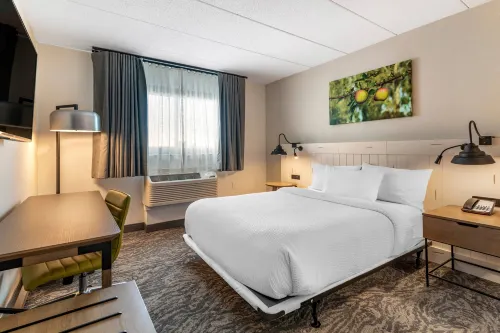 Fairfield Inn & Suites Providence Airport Warwick Rooms Photos