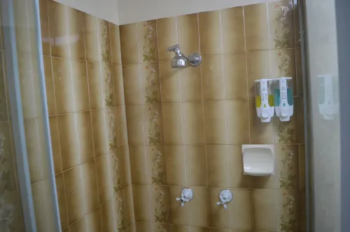 Excelsior Motor Inn Rooms Photos