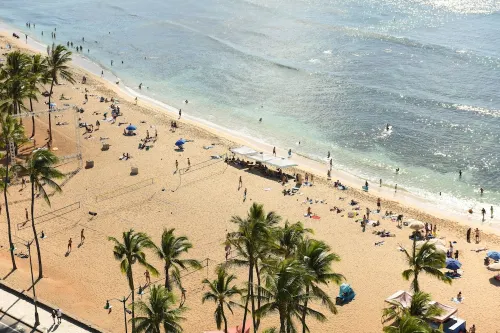 Park Shore Waikiki Near Hotel Photos