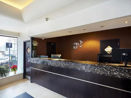 Hotel Lily Featured Photos