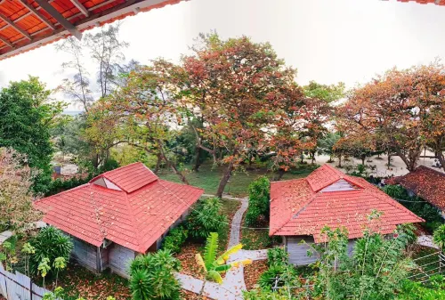 Tan Son Nhat Con Dao Resort Espaces publics Photos