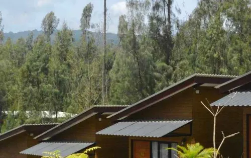 Manis Ae Cabin & Resto Bromo Eksterior Photos