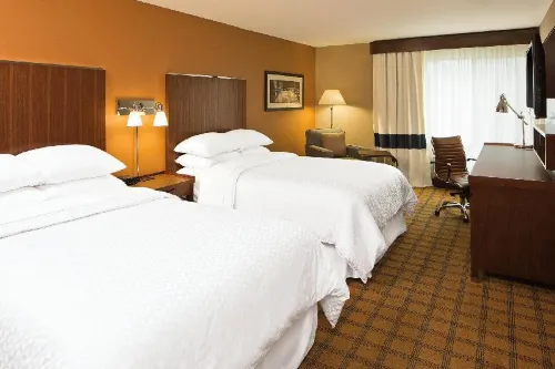 Four Points by Sheraton Downtown Seattle Center Zimmer Photos