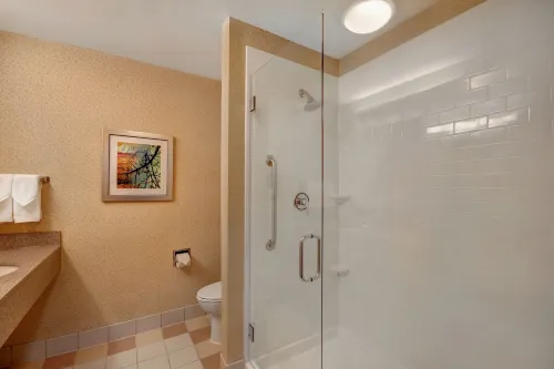 Fairfield Inn & Suites Detroit Metro Airport Romulus Rooms Photos