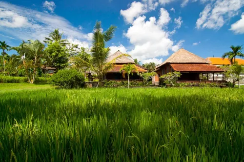 Agung Raka Resort & Villa Unggulan Photos