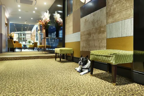 Hotel Concortel Paris Public Areas Photos