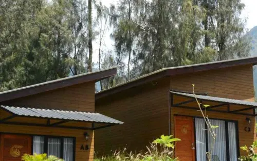Manis Ae Cabin & Resto Bromo Eksterior Photos