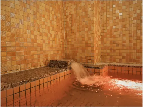 Green Rich Hotel Miyazaki Tachibandori 2 (Artificial Hot Spring Futamata Yunohana) Benessere e tempo libero Photos
