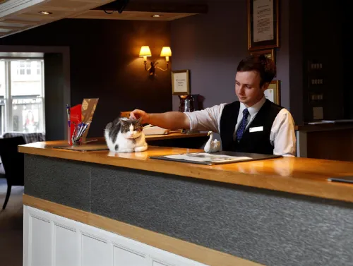The Swan Hotel, Wells, Somerset - the Coaching Inn Group Leisure & Recreation Photos