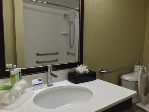 Holiday Inn Express Chicago NW - Arlington Heights Chambres Photos