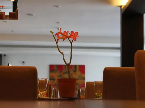 Top Star Hotel Espaces publics Photos