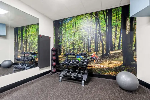 Best Western Atlanta Cumberland/Galleria Hotel Loisirs et amusements Photos