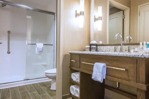 Hampton Inn Houston Downtown Chambres Photos