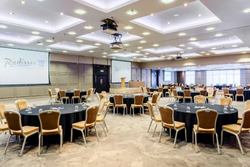 Radisson Blu Hotel, Athlone Geschäftseinrichtungen Photos