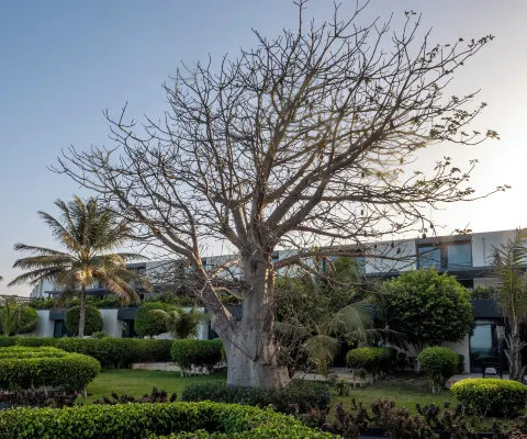 Noom Hotel Dakar Sea Plaza, a member of Radisson Individuals À proximité de l'hôtel Photos