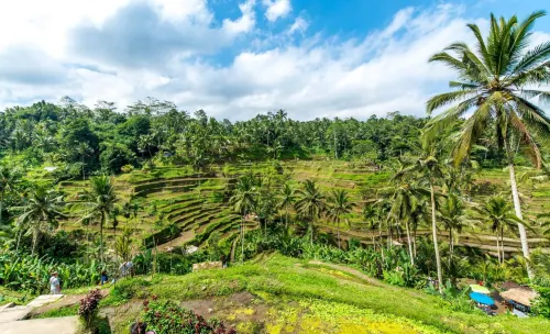 Samhita Garden Ubud Circondario Photos