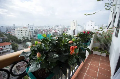 Eco Green Boutique Hotel Da Nang Circondario Photos