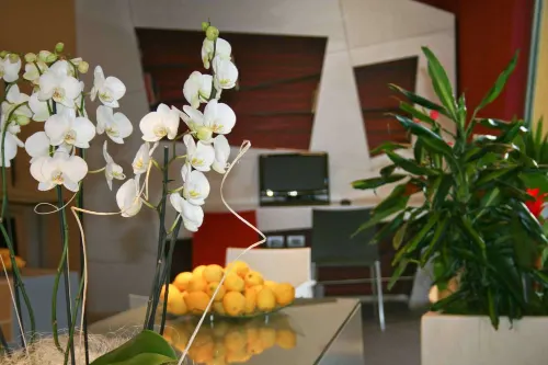 ibis Styles Catania Acireale Khu vực công cộng Photos