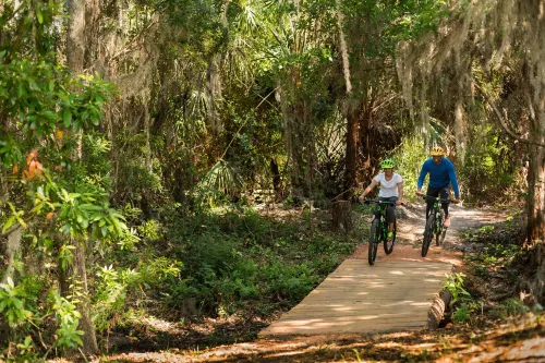 The Ritz-Carlton Orlando, Grande Lakes À proximité de l'hôtel Photos