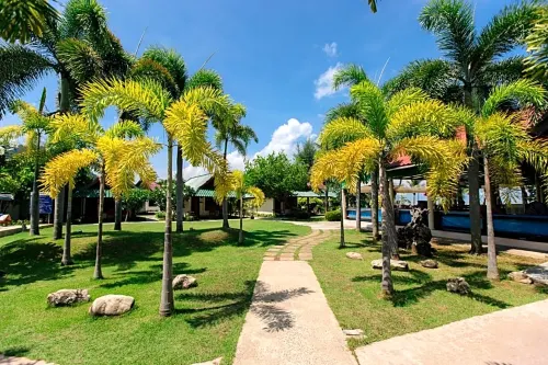 Golden Bay Cottage Eksterior Photos