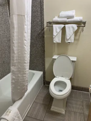 Quality Inn & Suites Pensacola Bayview Rooms Photos