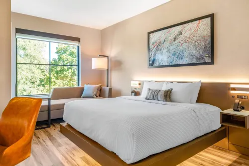 Cambria Hotel New Haven University Area Kamar Photos