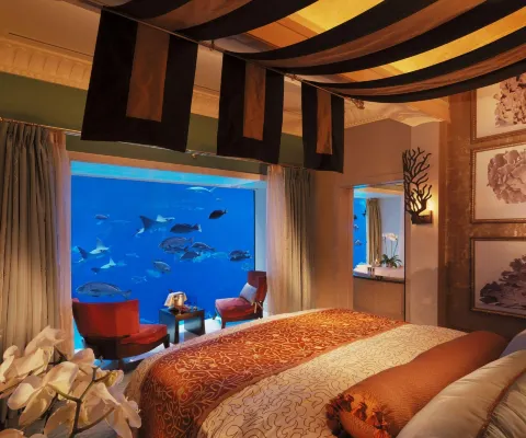 Atlantis, the Palm Photos