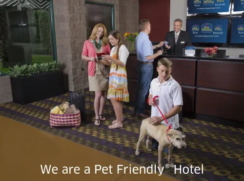 Best Western Plus Island Palms Hotel & Marina Public Areas Photos