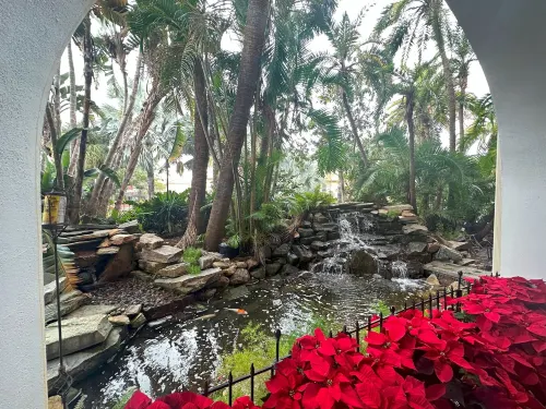 Tahitian Inn Boutique Hotel Tampa Öffentliche Flächen Photos